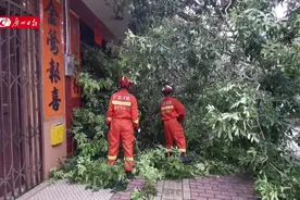 大树被吹倒挡住民居房门，消防救出2名被困老人图片