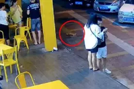 1小时内4只小猫从高楼坠亡！警方回应：扔猫人暂未找到图片