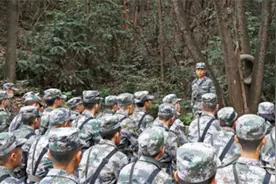 小时候的捉迷藏伪装太小儿科，这才是真的伪装图片
