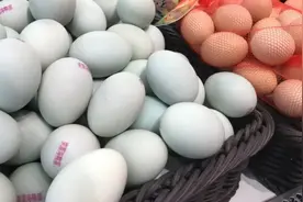 鸡蛋VS鸭蛋、紫薯VS红薯、普通猪肉VS黑猪肉，真的更好吗？图片