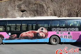 长白山“涂鸦巴士”让野生动物保护生动入心图片