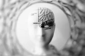 人类大脑只开发了10%，是真是假？图片