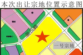 全部底价成交，国企“兜底”东部新区三宗土地图片