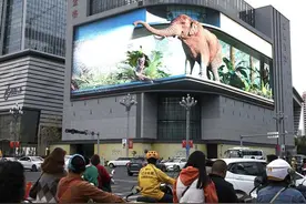 云南：“象”往的地方图片