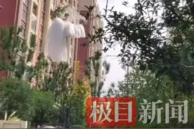 河南一婚礼新娘吊威亚从天而降，婚庆公司：具体细节新郎控制图片