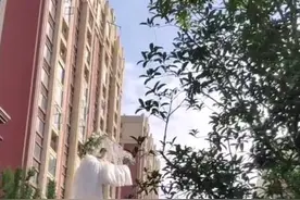 河南一婚礼新娘吊威亚从天而降，婚庆公司：具体细节新郎控制图片