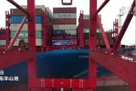 来了！第四届进博会首批海运展品到达洋山港视频封面