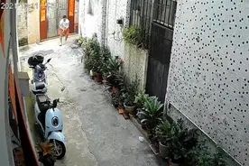 广东一男子摔死狗后藏尸体花盆，警方已介入图片