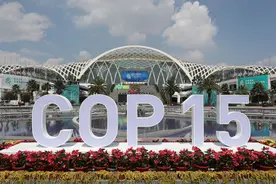 直击昆明COP15：歌声、承诺、宣言图片
