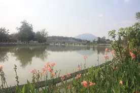 福建漳州：擦“亮”生态底色，推动水土保持高质量发展图片