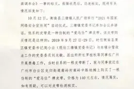镇书记被曝系“爱马仕皮带”，认真调查符合“抓小抓早”原则图片