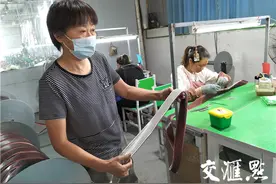 既增财源又添后劲，兴化林湖实施村改“化零为整”上马大项目图片
