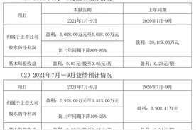 新增资本消耗型业务被暂停，中山证券入困局，成锦龙股份业绩“拖油瓶”，引进国资战投能改善困境？图片