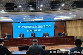 湖北殡葬领域专项整治工作取得阶段性成果图片