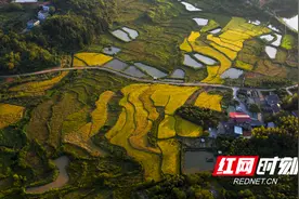 天元区：紧盯机遇 推动农业向绿而行图片