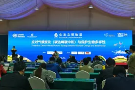 生物多样性丧失，气候变化已成罪魁祸首？仅升2℃就可能有5%的物种濒临灭绝图片