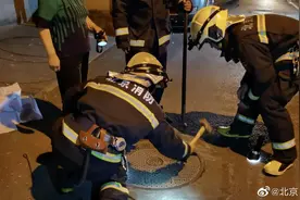 现实版疯狂的石头？男子下井掏污物井盖却被车压住图片