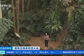 这里680多种植物都吃肉！走进昆明“扶荔宫”，带你穿越“植物王国”→图片