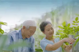 为什么我们都在为碎银几两奔忙？图片