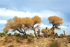“人不负青山，青山定不负人”图片