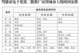 10月20日起 驾驶证电子化将在这110个城市第二批推广应用图片