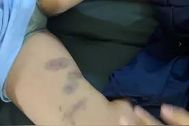 温州高铁新城实验学校多名学生遭老师扭打，涉事教师已停职图片