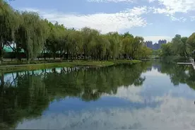 爱与家园的往事——中国文化视野的《长津湖》图片