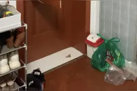 凌晨，房门突然被踹开，陌生男子破门而入……图片