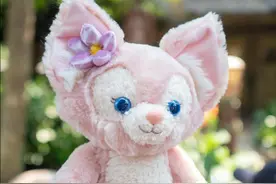 原价300多，炒至几千元！迪士尼周边玩偶代购，玩出爱马仕配货套路图片