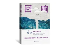 情感问题与小说叙事——东西《回响》论图片