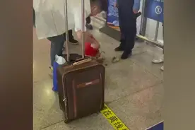 活螃蟹不让上高铁男子当场踩死8只！网友炸了......这些食物能否带上高铁？吃货们注意了→图片