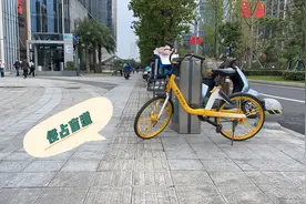 国际盲人节丨盲道“帮盲”了吗？图片