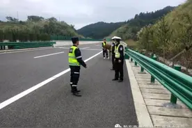 马匹误入高速，高速交警快速处置消隐患图片