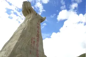 新华全媒+|青藏高原上的“生命鸟巢”图片