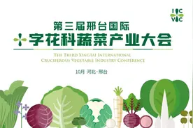 大咖云集！双语直播！邢台国际十字花科蔬菜大会精彩看点“鲜”知道图片