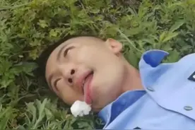 涨知识！“红伞伞白杆杆”好可怕？真正的剧毒蘑菇长这样图片