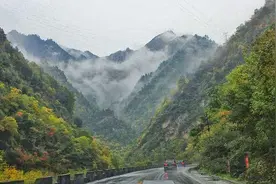 最是橙黄橘绿时！图片