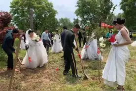 泰山区全面深化婚介机构改革图片