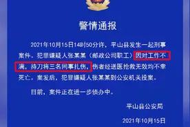 河北平山县邮政职工因工作不满持刀杀害三名同事，事发后投案视频封面