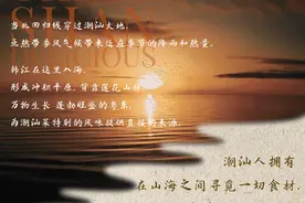 招牌砂锅粥年销300000w份的「潮汕菜大佬」火爆全南京图片