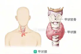 仅仅一个月时间，他的甲状腺就发展到肿瘤晚期？图片