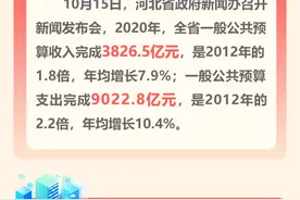 长图｜河北最新“财政账单”出炉！一起来看钱都花在了哪图片