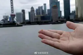 对话丨将“1000颗黄金‘米粒’扔进黄浦江”，艺术家：争议声代表着有价值图片