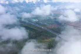 全球连线｜中法生物多样性合作为美丽世界增光添彩图片