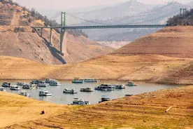 学林随笔｜“桂花性子慢，迟迟不飘香”背后隐藏怎样的“灰犀牛”图片