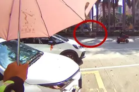 紧急！环卫工被马蜂蛰晕，一场生死营救在东莞街头展开…图片