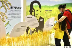 今天世界粮食日丨“风吹过稻田，我就想起你！”网友想念袁爷爷上热搜图片