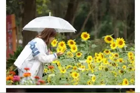 西溪湿地隐藏玩法图片