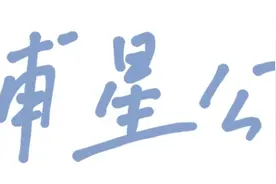 开车去海边！奉贤绝美自驾公路，沿着这条路可以从头玩到尾图片