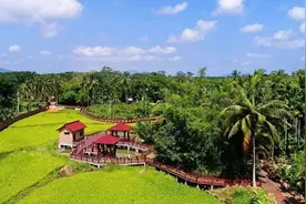 海南：共享农庄民宿可租赁给消费者，租期可达20年图片